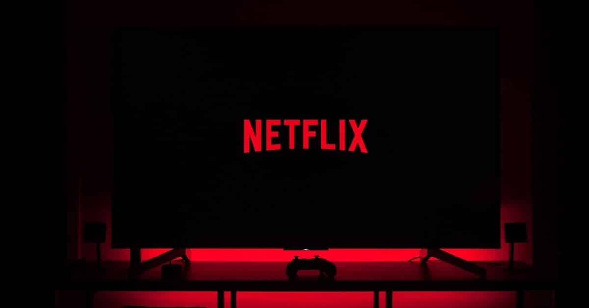 Netflix, Brand Assets